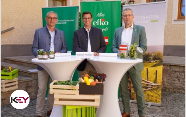 Redaktionelle Event- und Videoberichterstattung